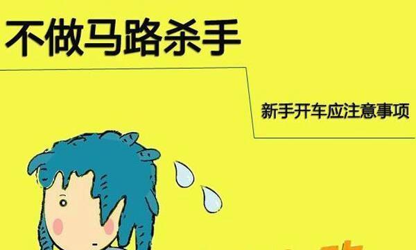 新手开车买保险，如何选择最合适的保险方案