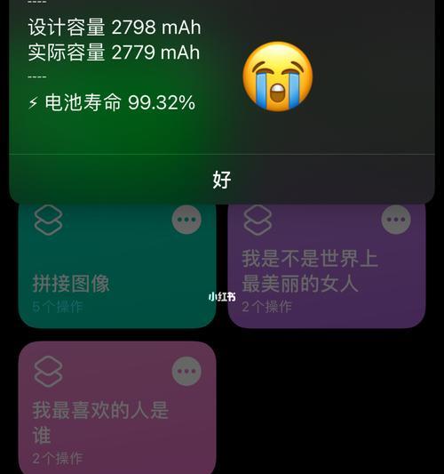 如何快速降低苹果电池寿命（掌握关键技巧延长电池使用时间）