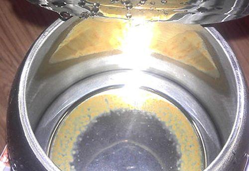 清洁蒸汽电熨斗的方法及水垢产生原因（简单有效的除水垢方法及预防措施）