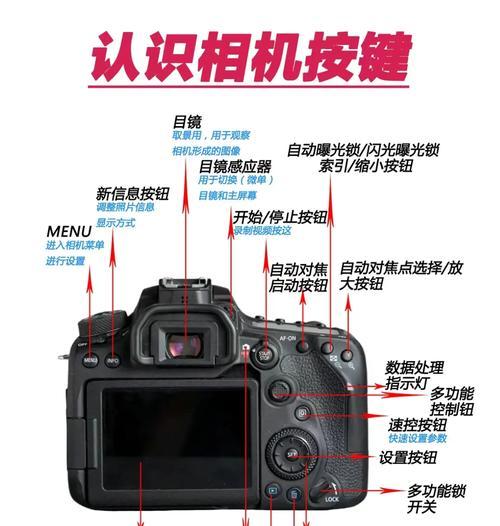 佳能相机全屏对焦设置方法是什么？如何调整？