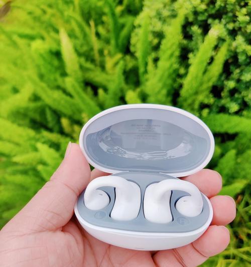 带盒式蓝牙耳机的手机叫什么？品牌型号有哪些？
