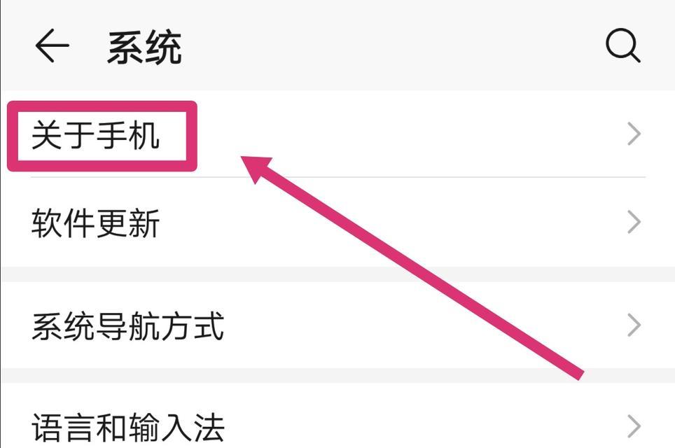 华为手机开发者选项详解（探秘华为手机中隐藏的开发者选项）