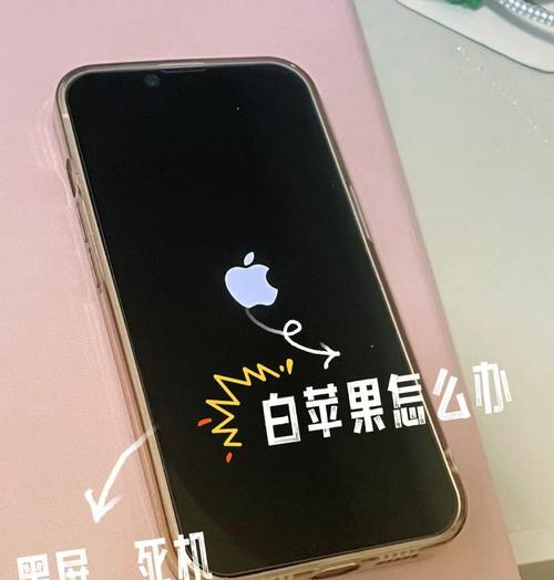 小米手机无法开机解决方法（如何解决小米手机无法开机问题）